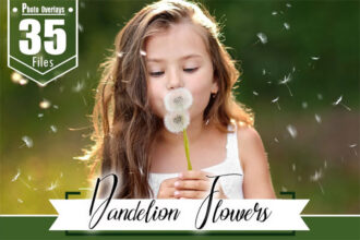 35 Dandelion Flowers Overlays