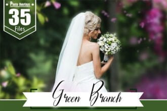 35 Png Branch Photo Overlays