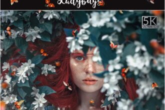 5K Ladybugs Photo Overlays