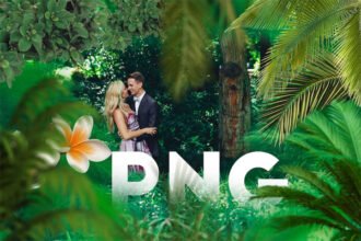 65 Tropic Tree Branches Overlays