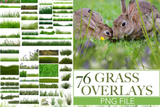 76 PNG Grass Overlays
