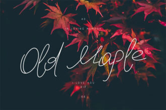 CreativeMarket - Old Maple