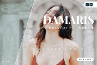 Damaris Lightroom Presets