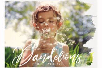Dandelion PNG Overlays