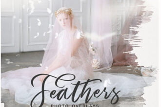 Falling Feathers PNG Overlays
