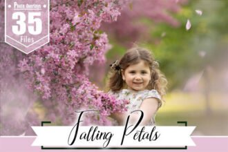 Falling Petals Photo Overlays