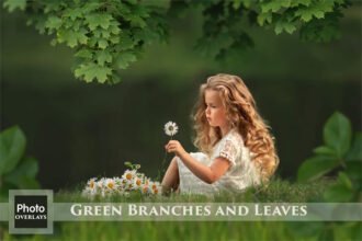 Green Branches and Leaves