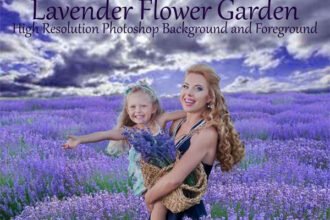 Lavender Flower Garden