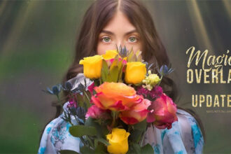 Meg Bitton Photography Overlays & Action