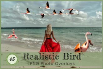 Realistic Birds Overlays Photoshop