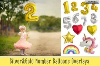Silver & Gold Number Balloons Overlays