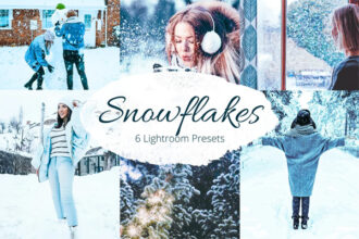 Snowflakes Lightroom Presets