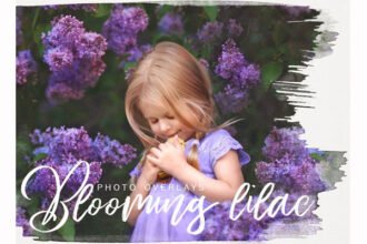 Spring Lilac PNG Photoshop Overlays