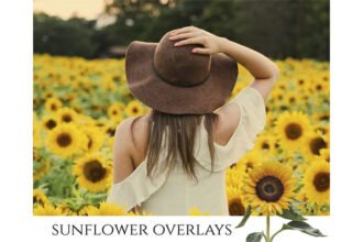 Sunflower Photoshop Overlays PNGs