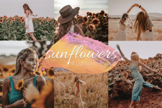 Sunflowers Lightroom Presets Lr