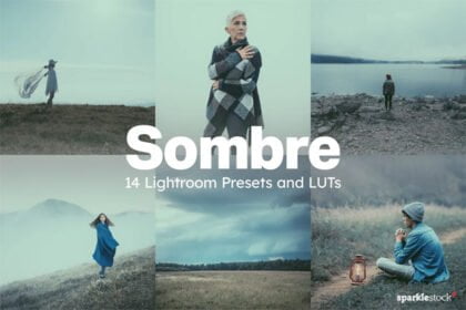 14 Sombre Presets and LUTs