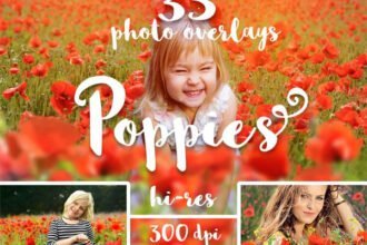 35 Poppies Png Overlays