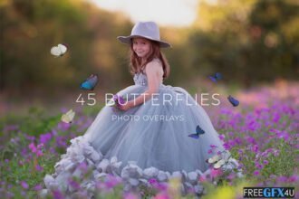 45 Butterfly Overlays