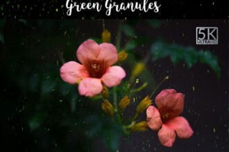 Green Granules Overlays