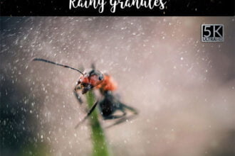 5k Rainy Granules Overlays