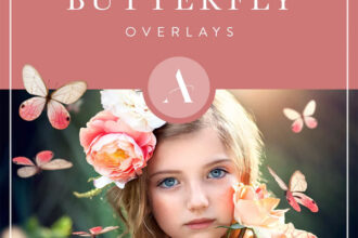 Butterfly Overlays