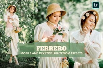 Ferrero Presets Dekstop and Mobile