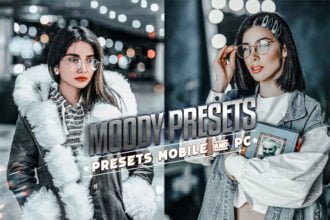 Moody Presets for Mobile and Desktop