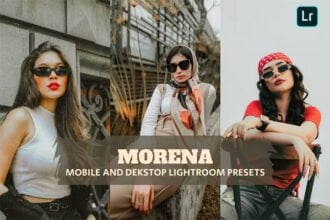 Morena Presets Dekstop and Mobile