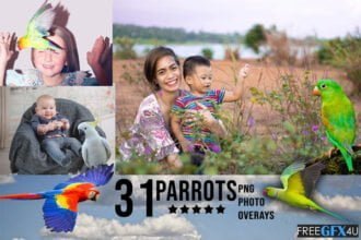 30 Parrots PNG Overlays
