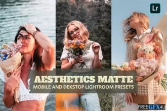 Aesthetics Matte Lightroom Presets