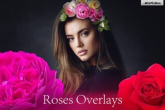Creativefabrica- Roses Photo Overlays