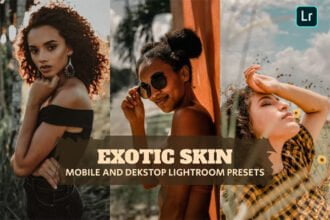 Exotic Skin Presets for Desktop and Mobile