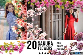 Sakura Photo Overlays