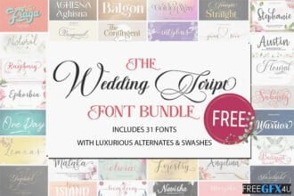 The Wedding Script Font