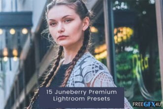 15 Juneberry Premium Presets