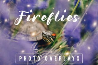 30 Dreamy Firefly Photo Overlays