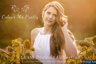 CLEAN Presets for Lightroom