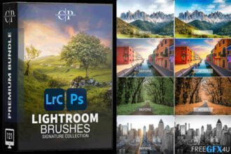Clever Photographer Colour Brushes