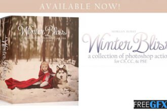 Winter Bliss Actions Collection