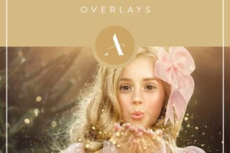 Stardust Glitter Overlays