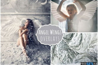 White Angel Wings Overlays