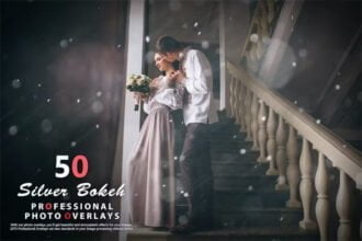 50 Silver Bokeh Photo Overlays