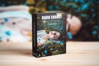 Dark and Moody Lightroom Presets