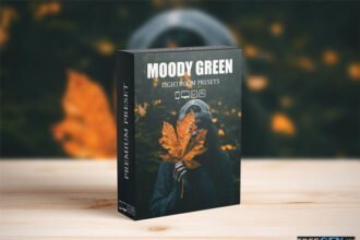 Moody Dark Green Presets