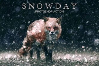 SnowDay Photoshop Action