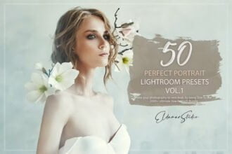 50 Perfect Portrait Lightroom Presets V1