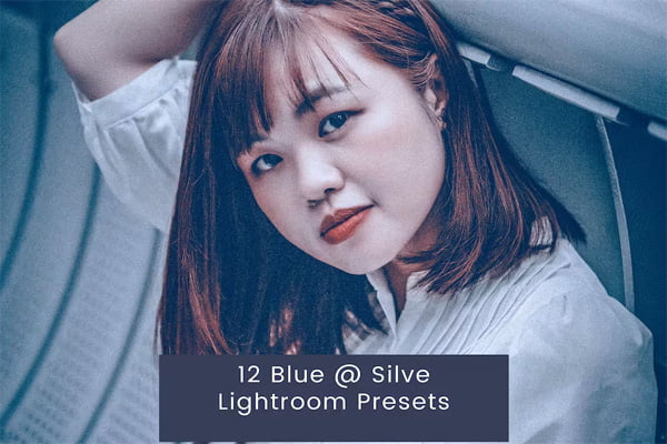 12 Blue @ Silve Lightroom Presets