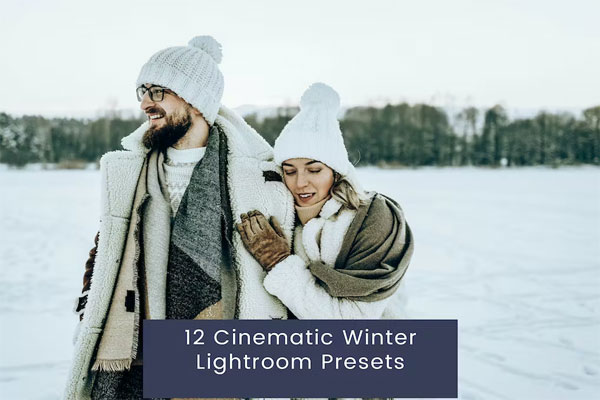 12 Cinematic Lightroom Presets for Winter