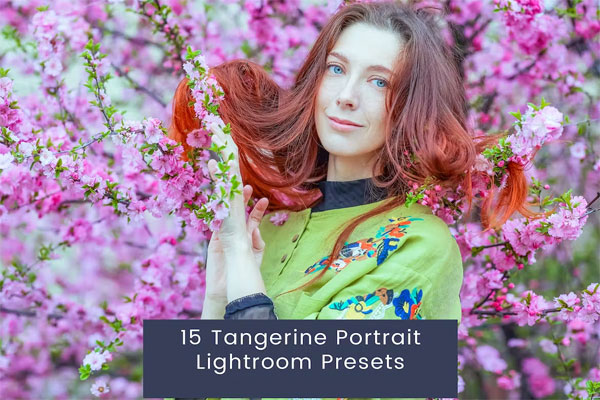15 Tangerine Portrait Lightroom Presets