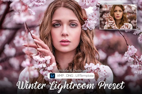20 Winter Lightroom Presets